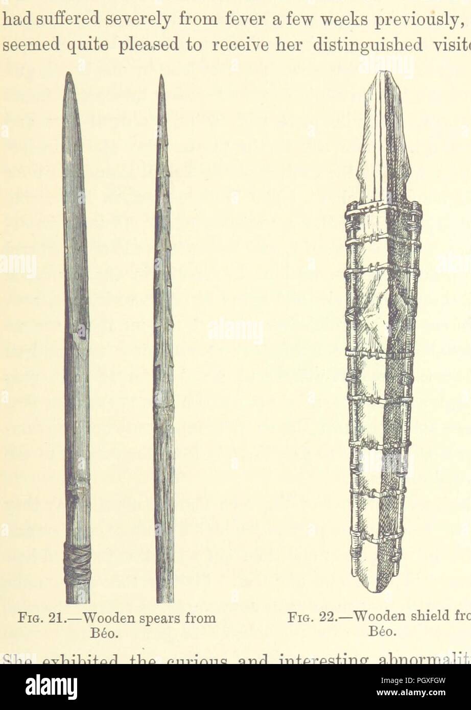 Image  from page 217 of 'A Naturalist in North Celebes. A narrative of travels in Minahassa, the Sangir and Talaut Islands, with notices of the fauna, flora and ethnology of the districts visited ... With maps and illustratio0032. Stock Photo