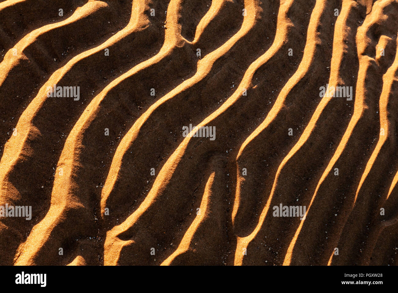 Sunlit ripples in the sand on the beach at Conwy Morfa on the North Wales coast Stock Photo
