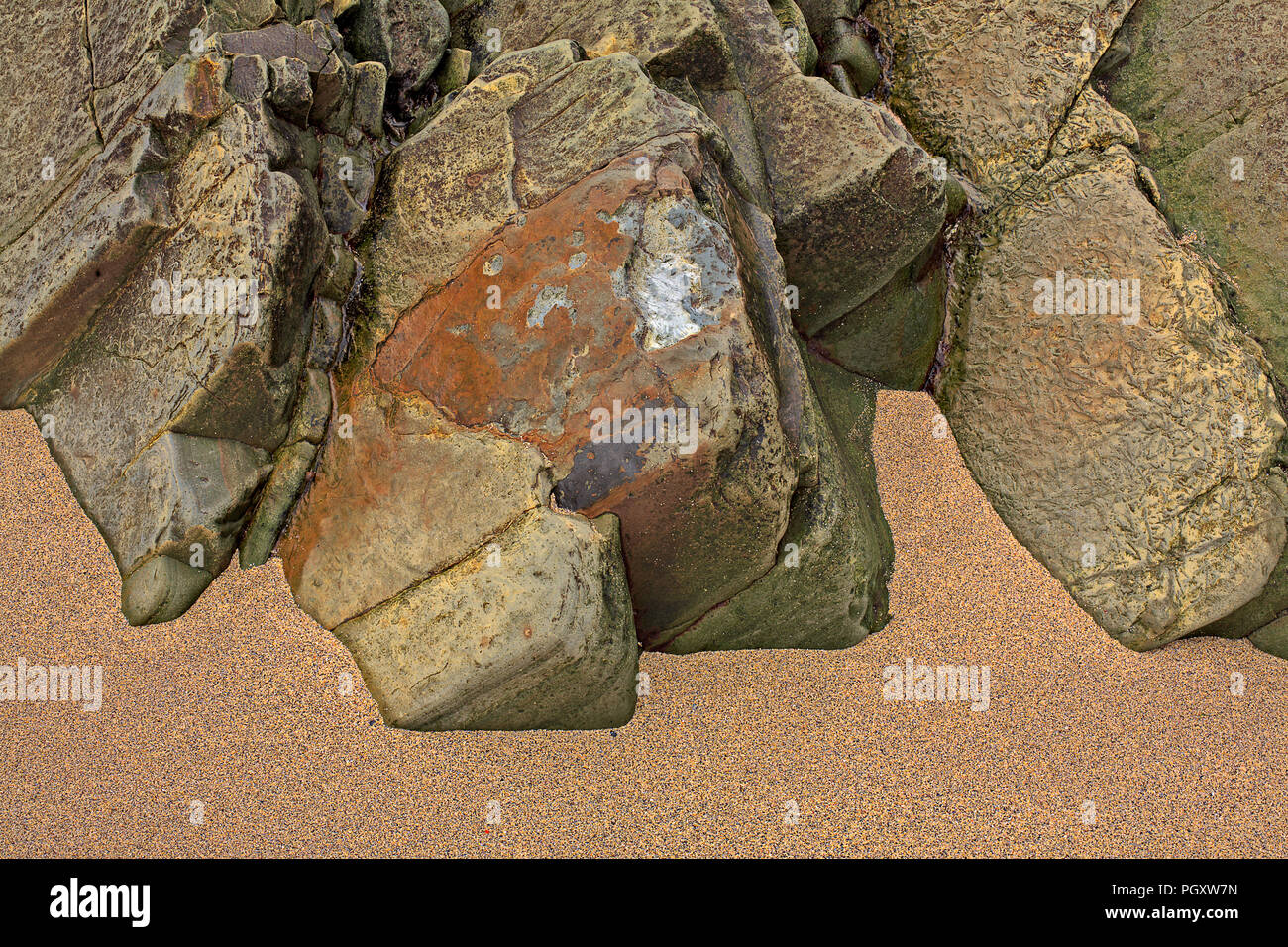 Rocks with fossilised plants on the beach at Clogher Strand, Dingle, Irleand Stock Photo