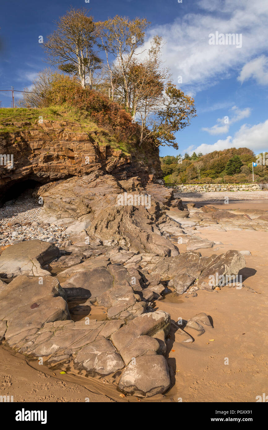 Trees next to the beach at Saundersfoot, Pembrokeshire on the welsh coast Stock Photo