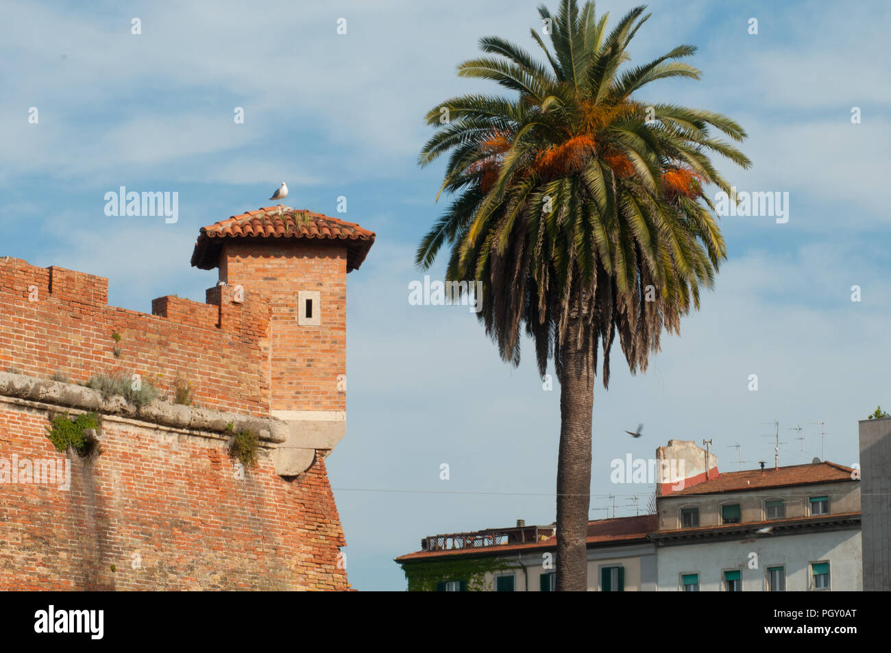 Fortezza nuova. Renaissance fortress surrounded by canals in the city center Stock Photo