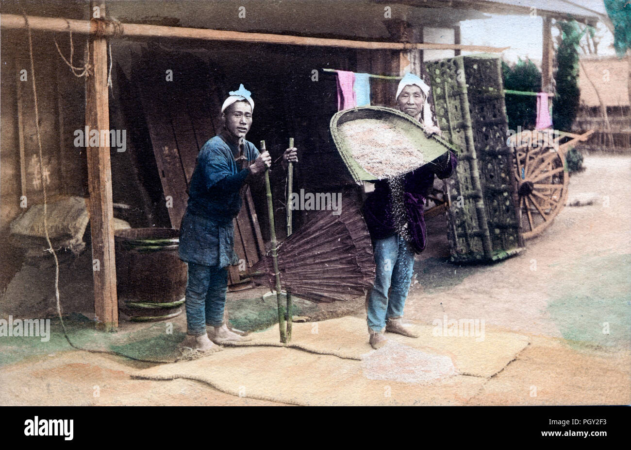 [ 1910s Japan - Two Farmers Threshing Rice ] —  Two farmers thresh rice using large fans attached to bamboo poles. The wind produced by the fans aids in removing the the rice from its hull.   20th century vintage postcard. Stock Photo