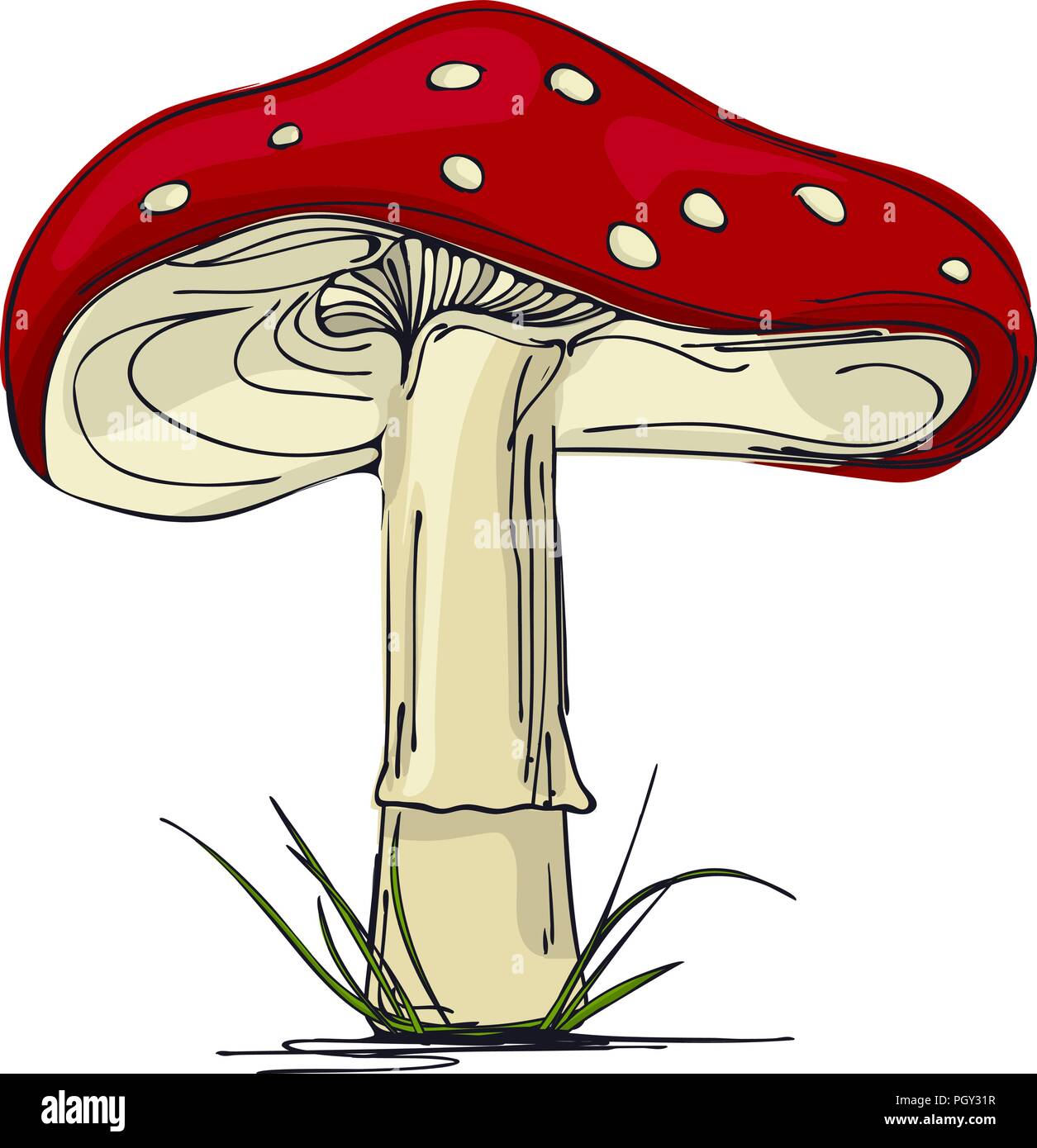 Mushroom amanita. on a white background. Vector drawing. Stock Vector