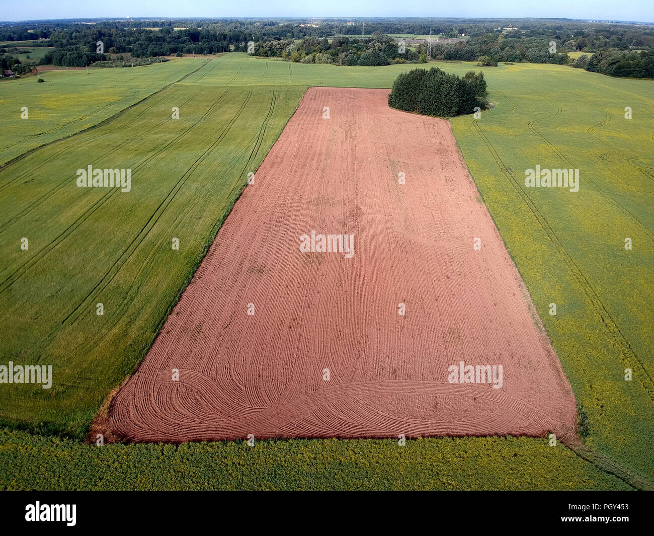 Freshly plowed summer time field, aerial view Stock Photo
