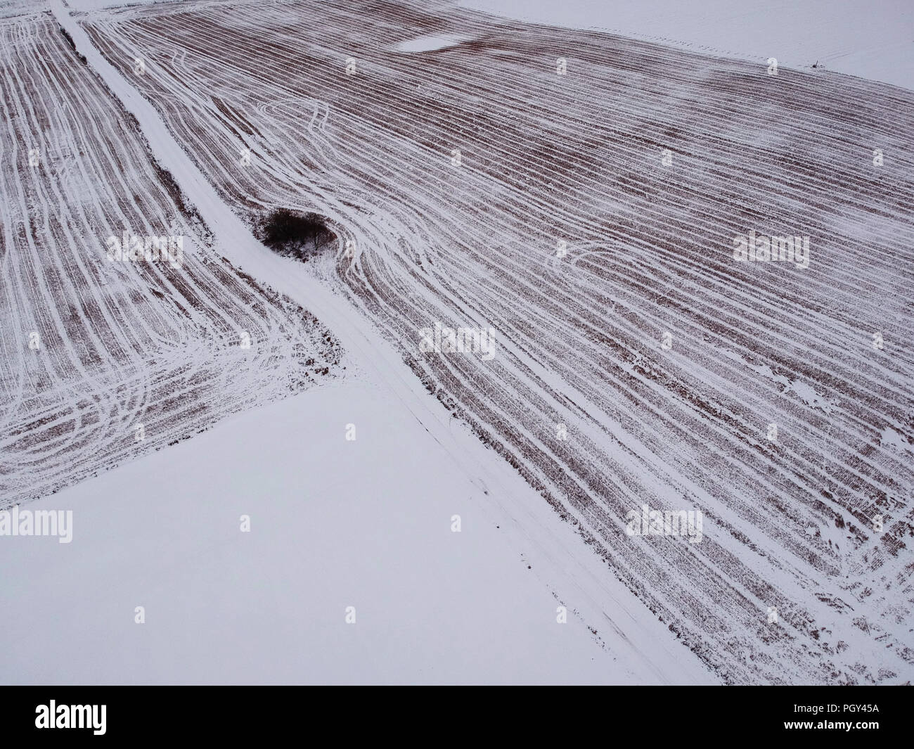 winter wheat stubble agriculture field with snow, aerial view Stock Photo