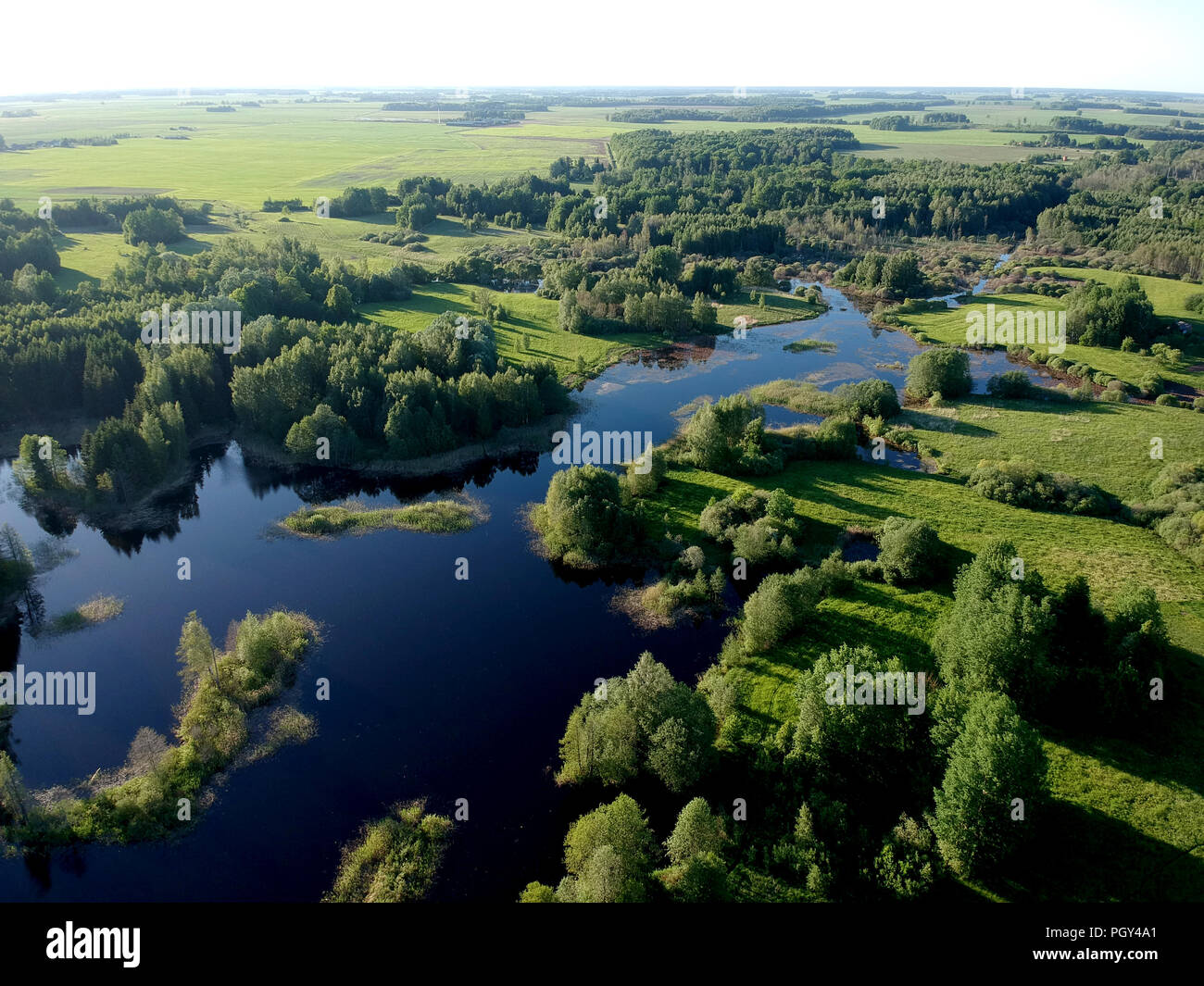 Sunny  lake landscape with trees in spring time, aerial view Stock Photo