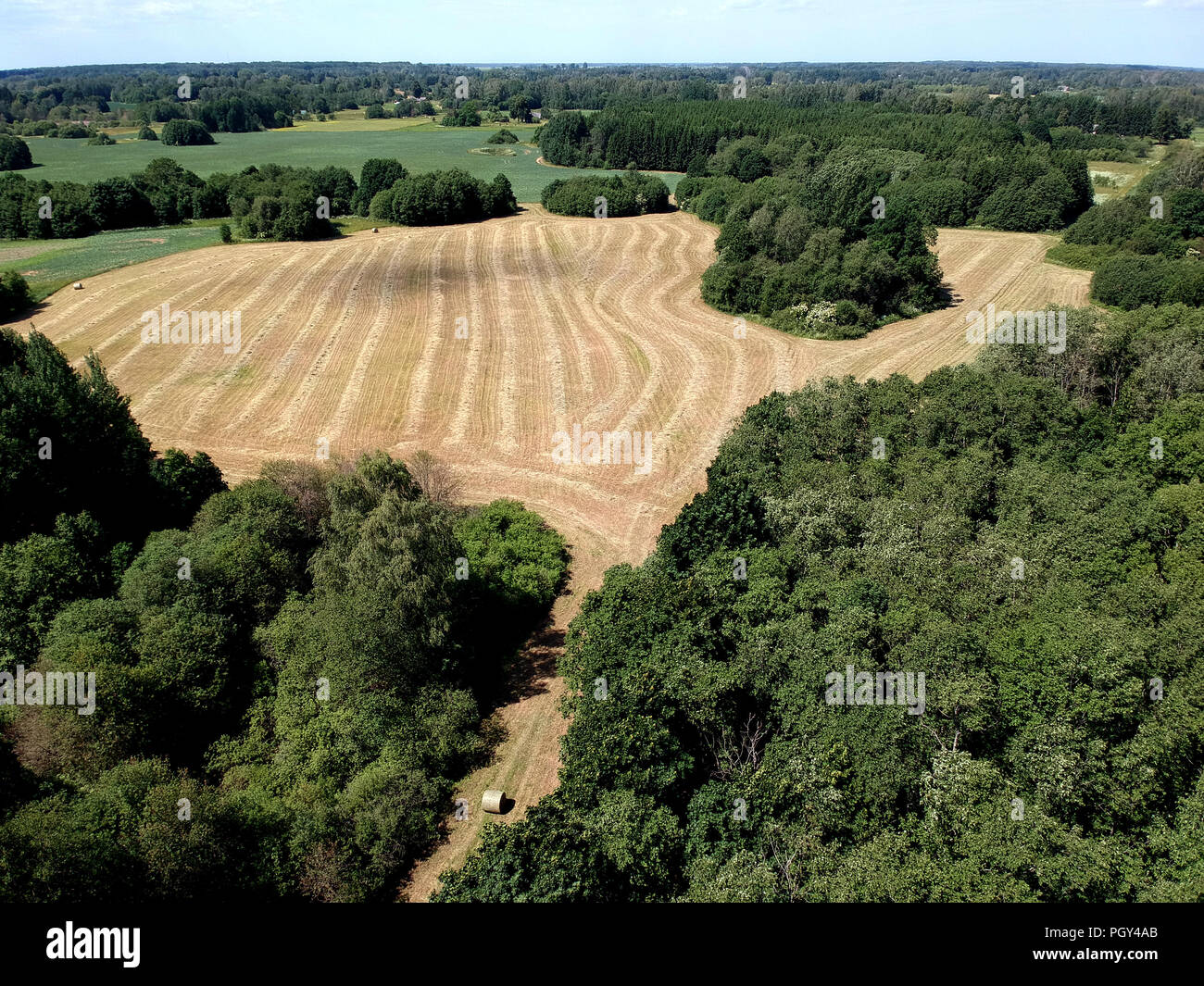 Harvested farm meadow panorama with drying hay grass, aerial view Stock Photo