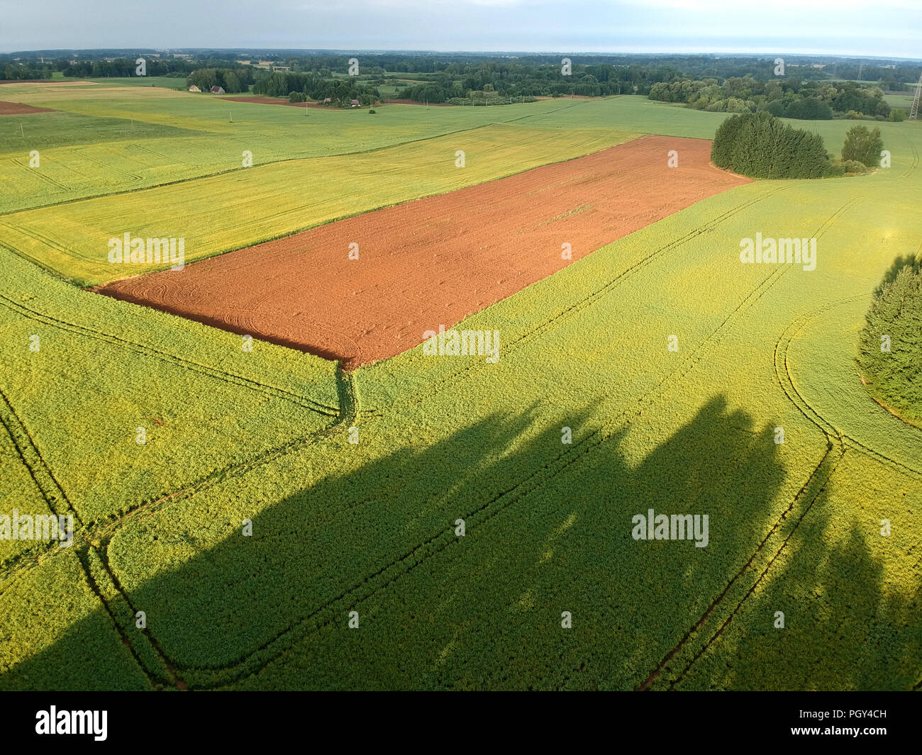 beautiful summer morning farmland landscape with green and brown plowed fields, aerial view Stock Photo