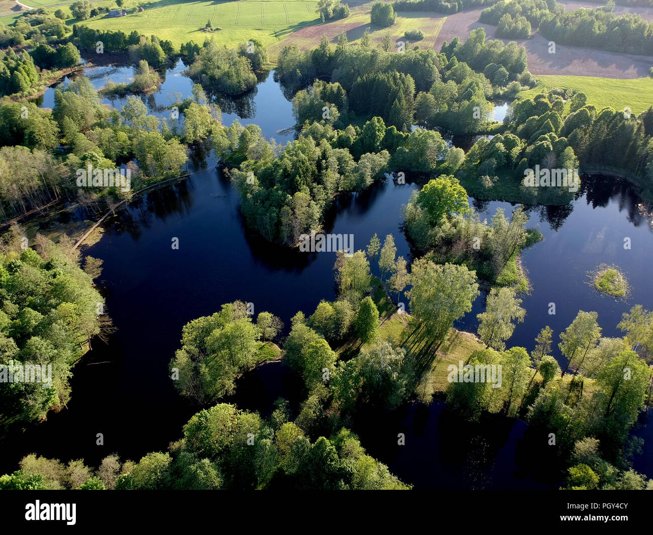 Beautiful lake landscape with tree groves in spring time, aerial view Stock Photo