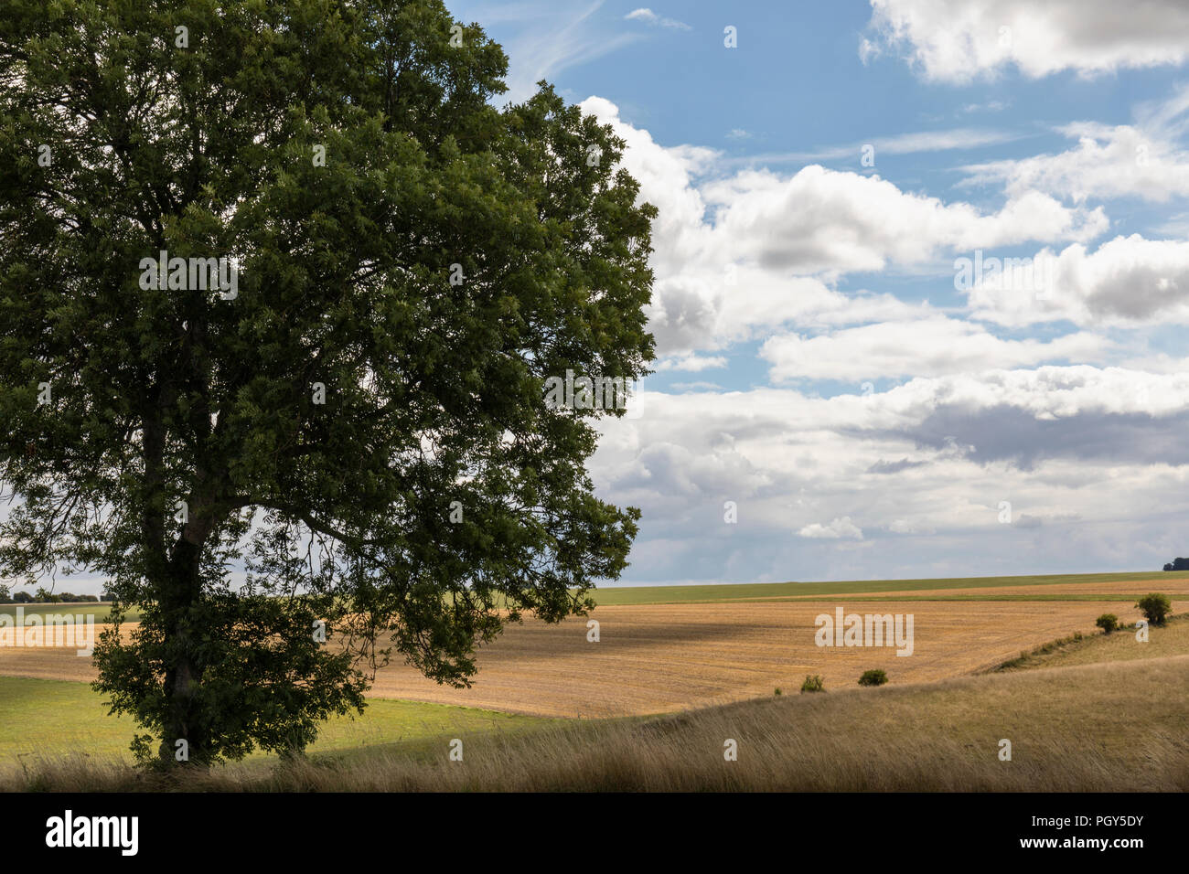 View of Salisbury Plain taken from the B390, Wiltshire, England, UK Stock Photo