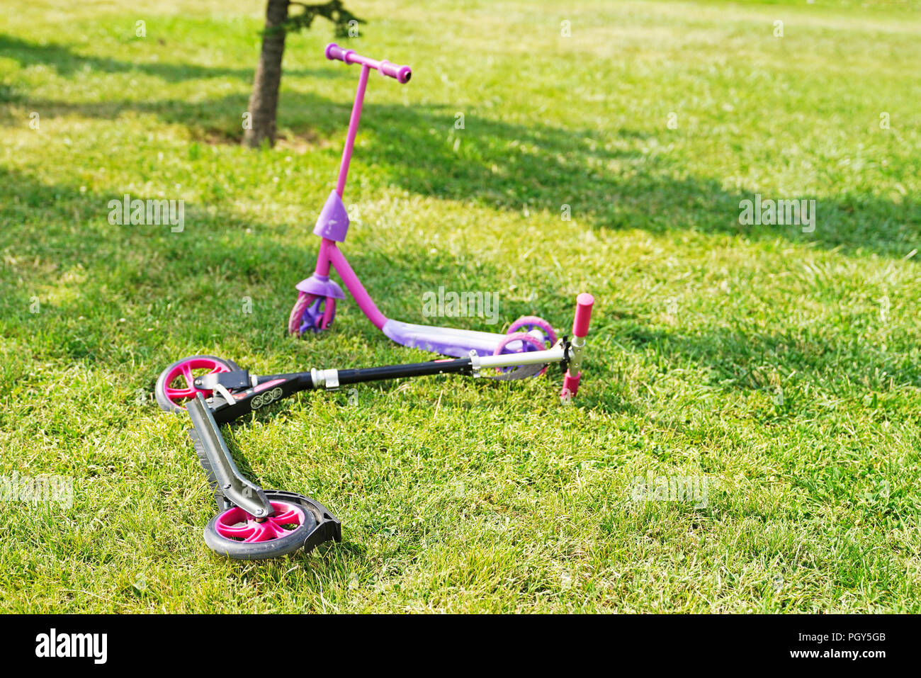 Two pink scooters for girl on green grass. Stock Photo