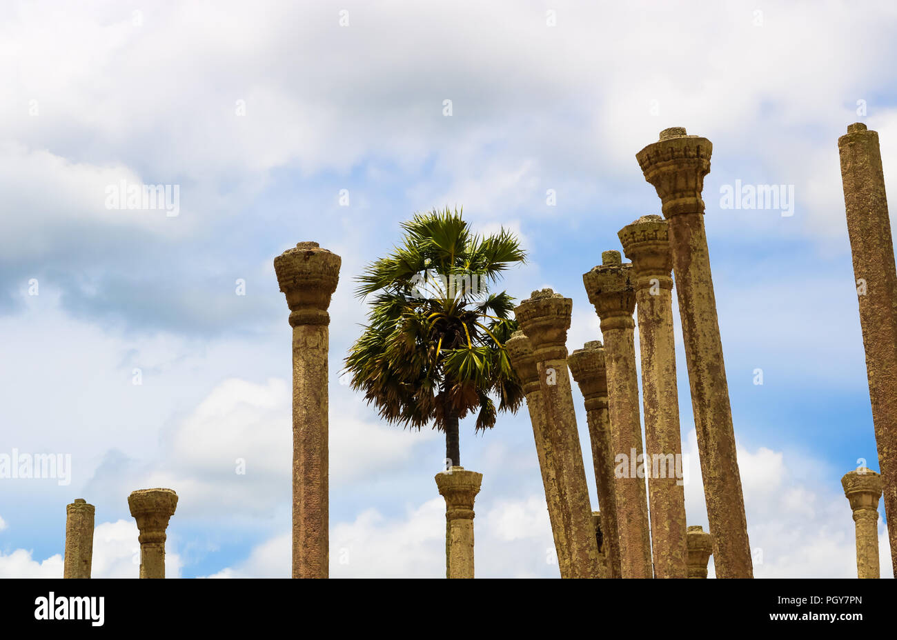 Stone Pillars & Palmyrah Tree in Thuparamaya Stock Photo