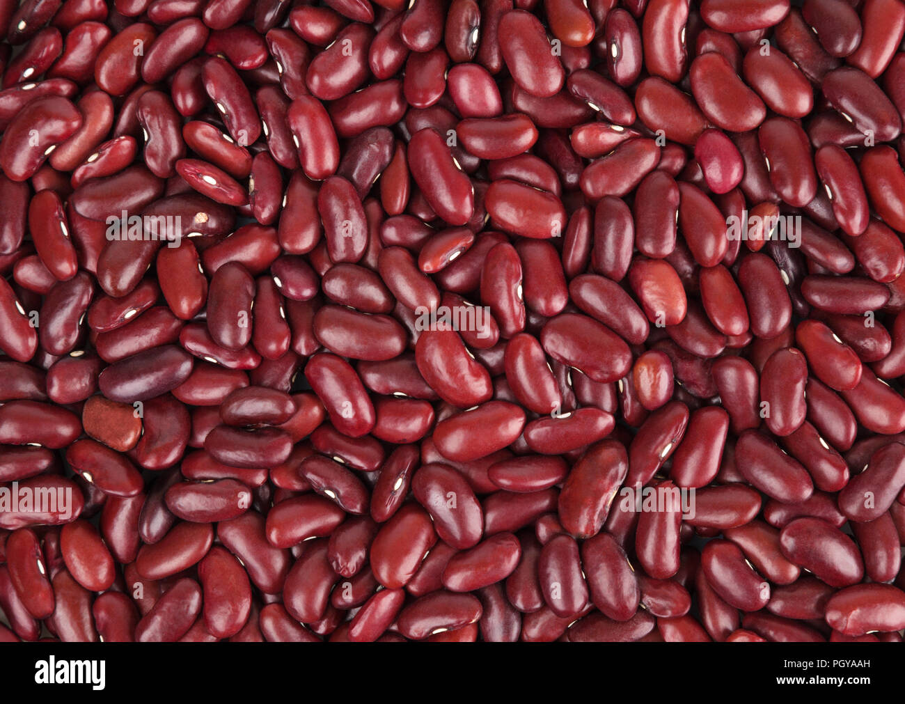 White Kidney Bean in PP Bag - China White Kidney Bean, Speckled Kidney Bean