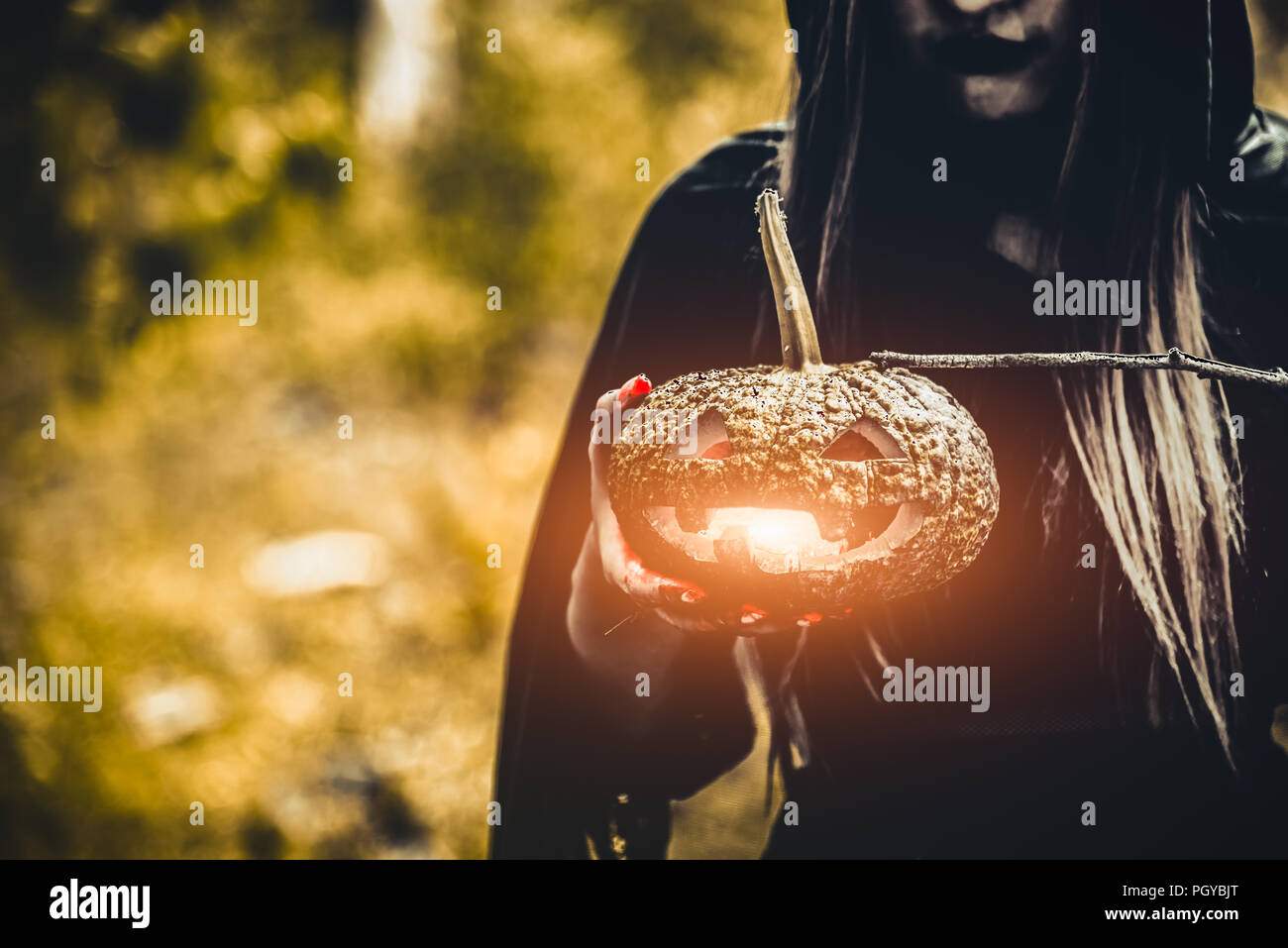 Pumpkin lantern in witch hand. Old woman holding pumpkin in dark green forest. Halloween day and Mystery concept. Fantasy of magic theme. Wizard and M Stock Photo