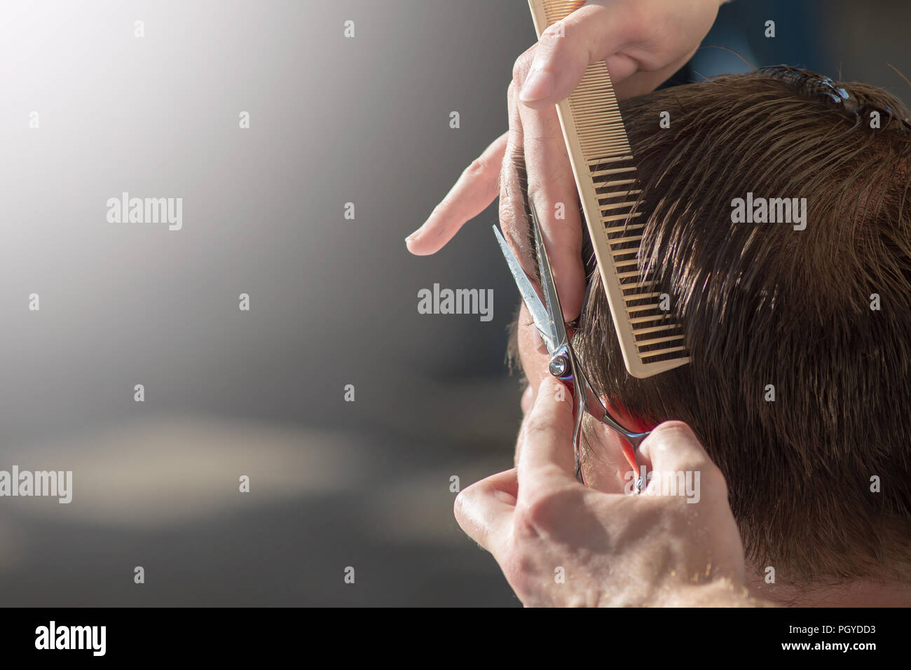 Hairdresser cutting hair of customer at salon. Stock Photo