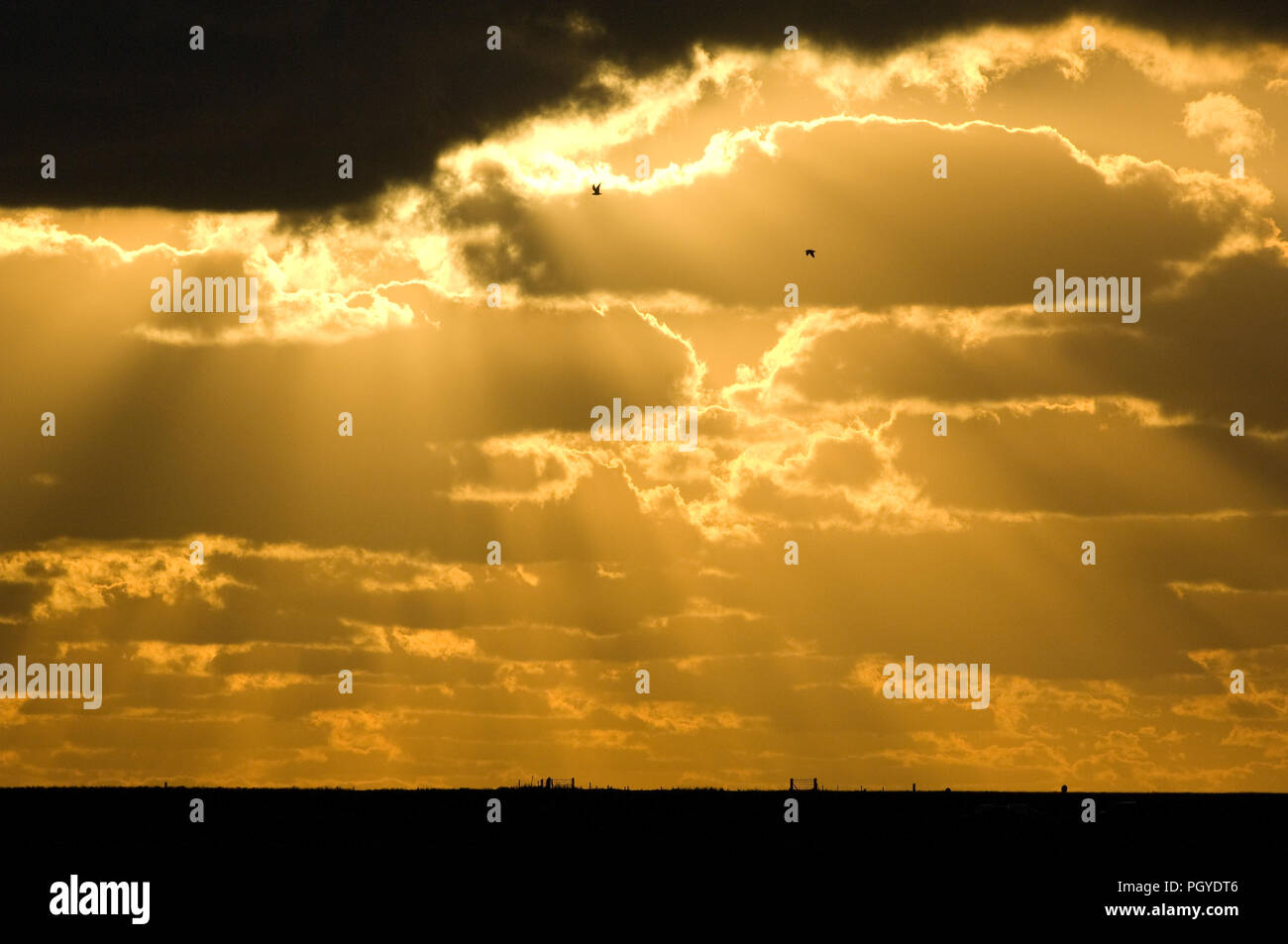 Coucher de soleil - Sunset Stock Photo