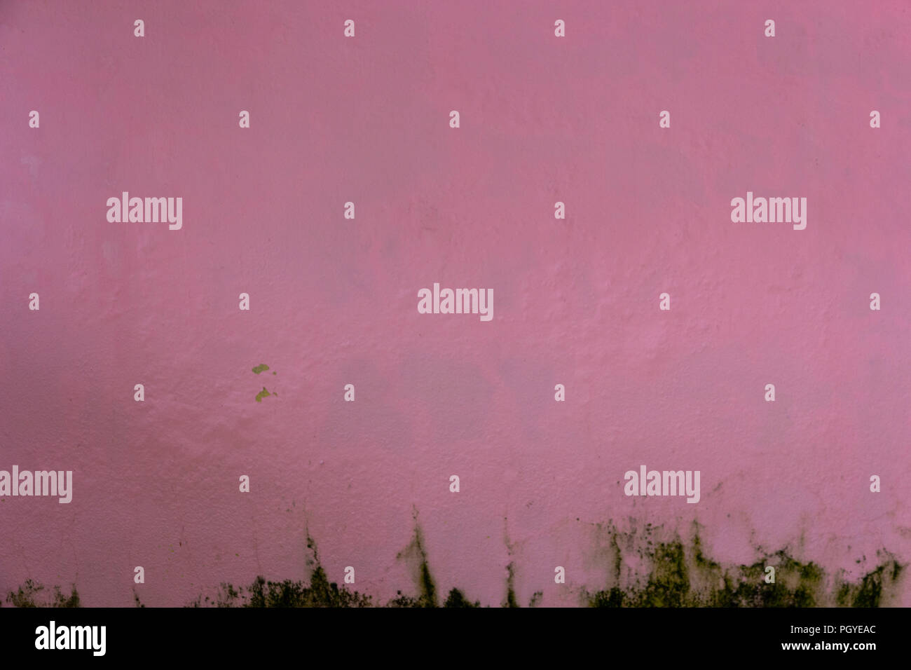 old pink messy wall with dirty stucco texture for background ...