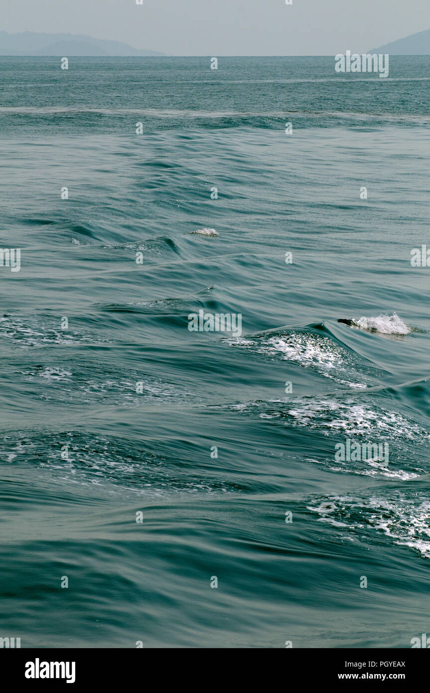 Sea - waves Stock Photo