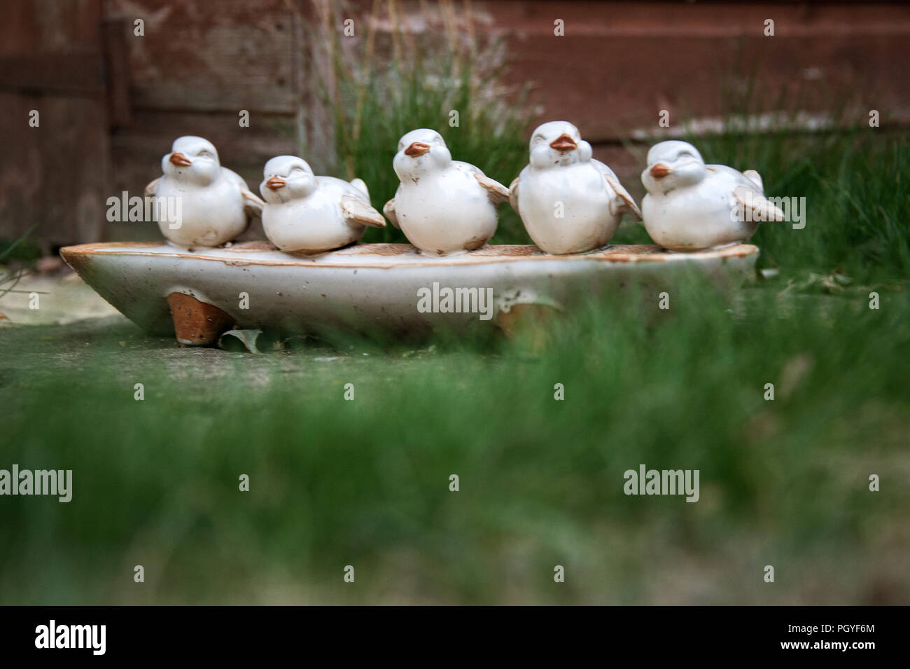 five little birds ceramic garden ornament and water trough Stock Photo
