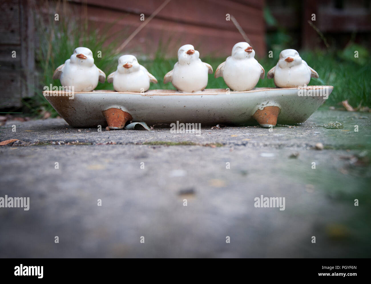 five little birds ceramic garden ornament and water trough Stock Photo