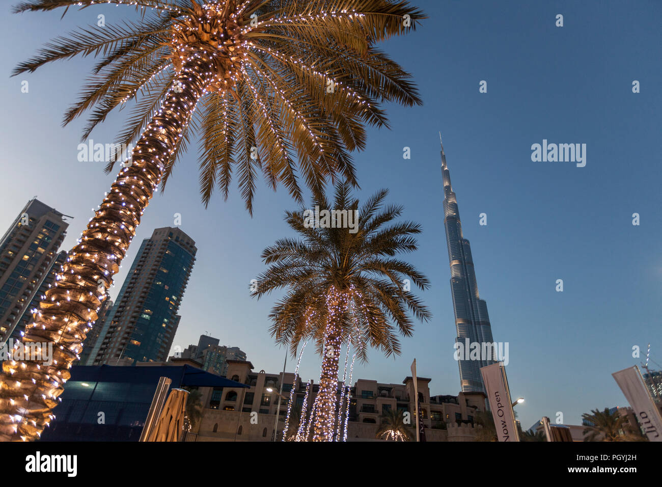 Palm trees with fairy lights on Sheikh Mohammed Bin Rashid Boulevard, with the Burj Khalifa in the background, in Downtown Dubai, Dubai, UAE Stock Photo