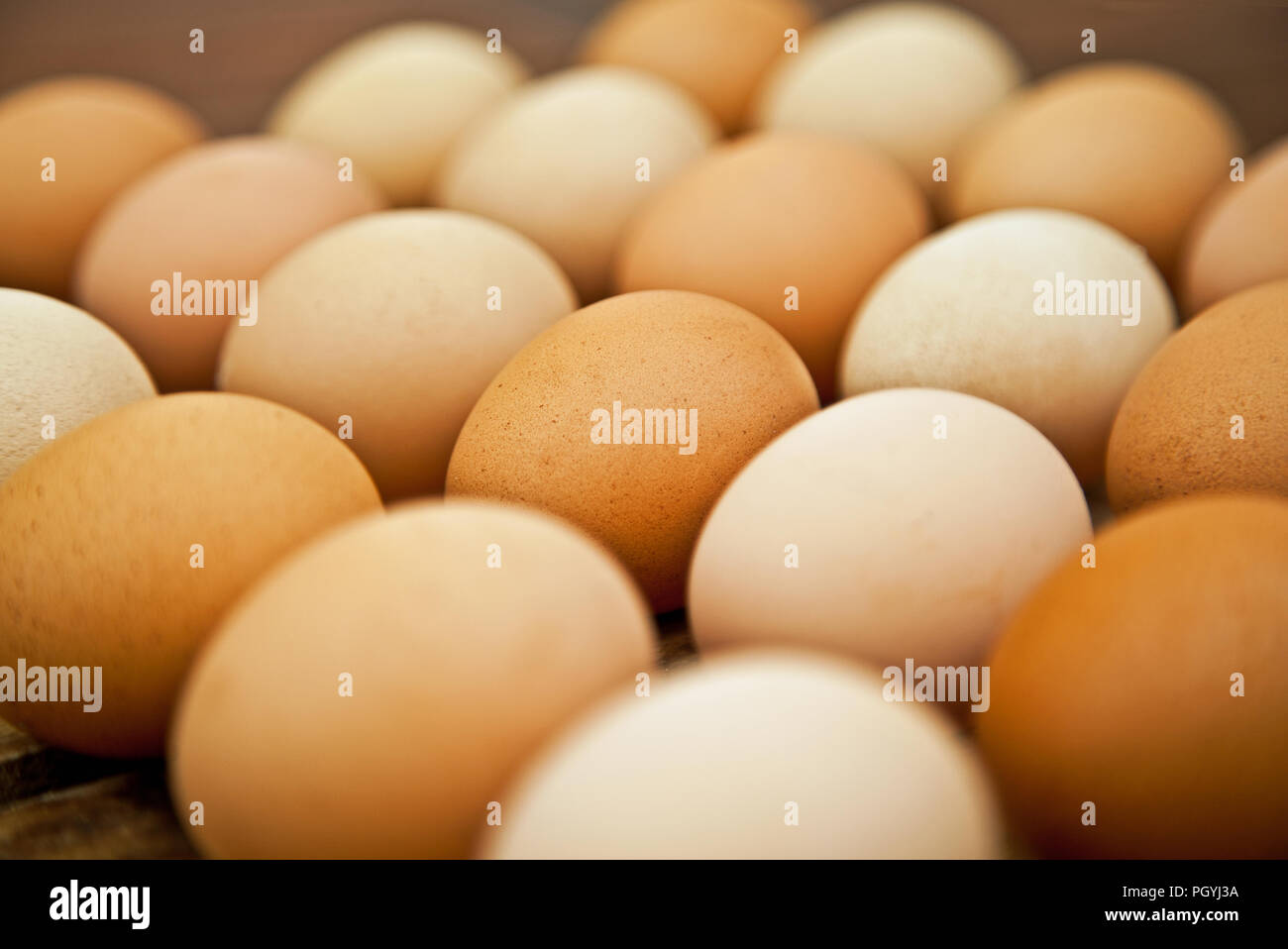 Eggs Stock Photo