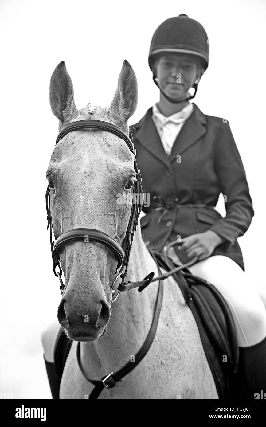 Grey mare and rider Stock Photo