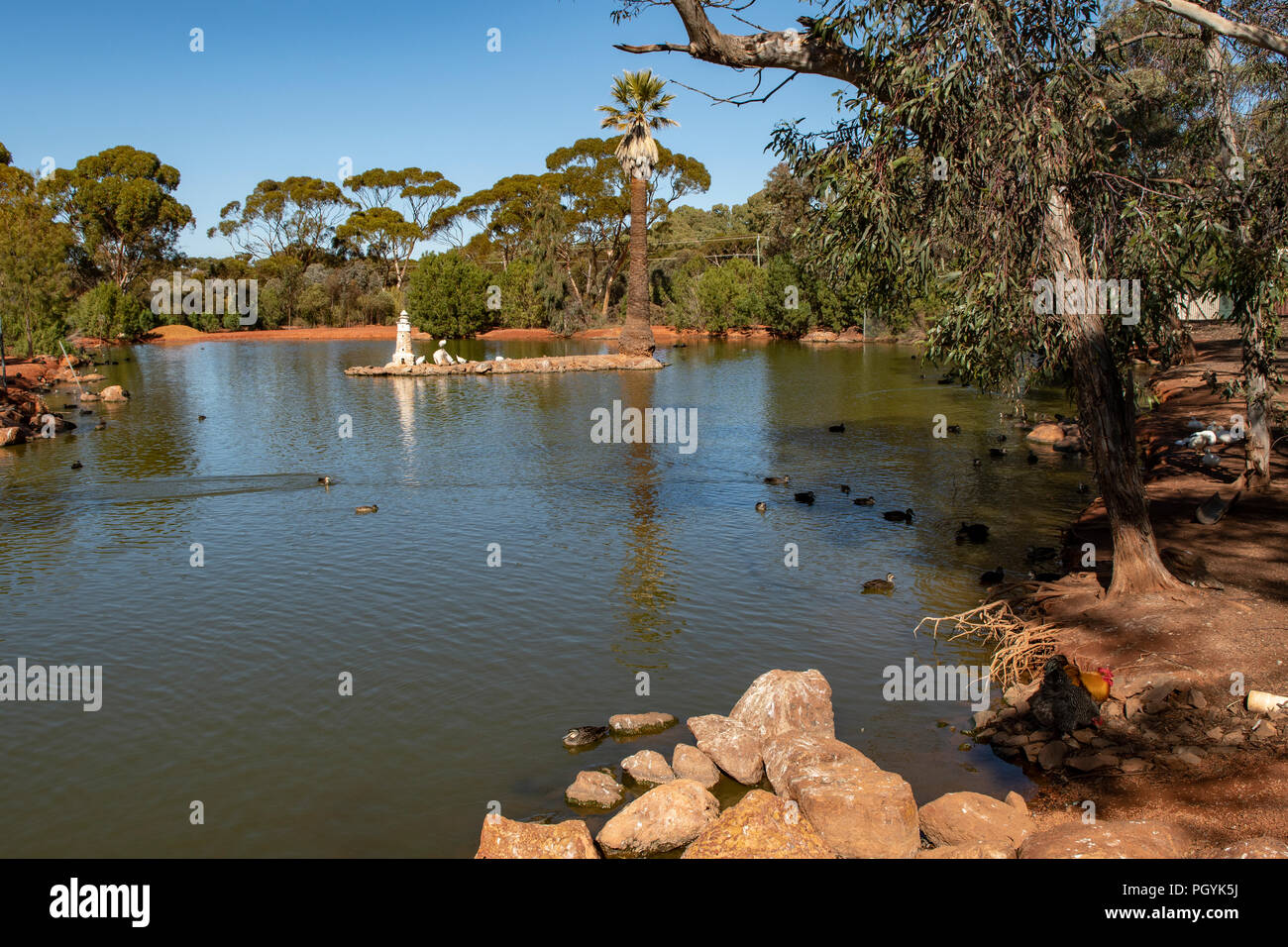 The Lake, Hammond Park, Kalgoorlie, WA, Australia Stock Photo