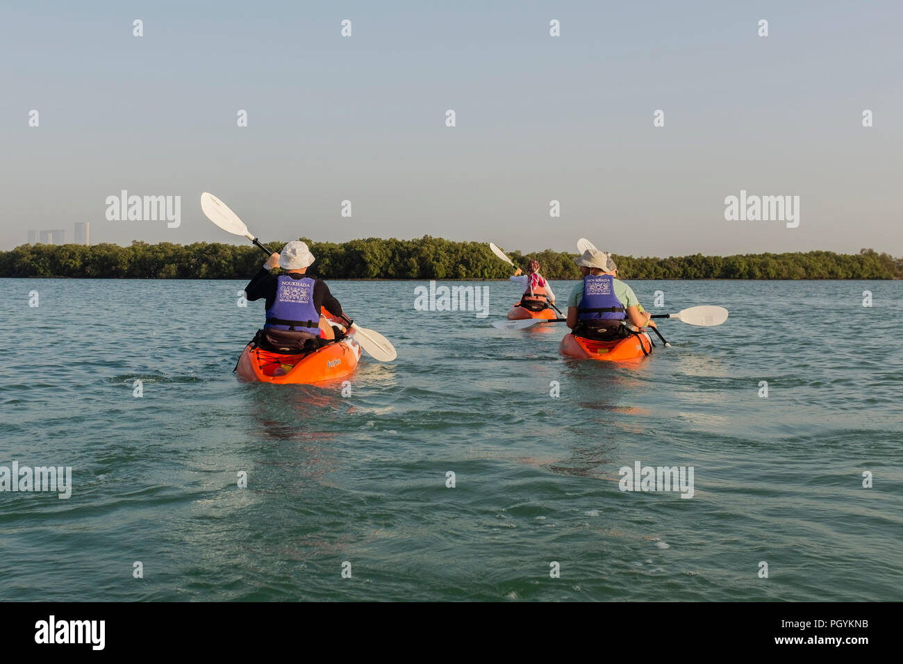 Kayaking in Mangrove National Park, Abu Dhabi, United Arab Emirates. The natural mangrove