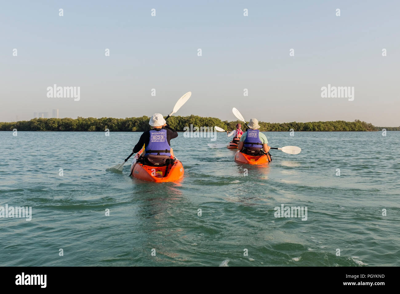 Kayaking in Mangrove National Park, Abu Dhabi, United Arab Emirates. The natural mangrove