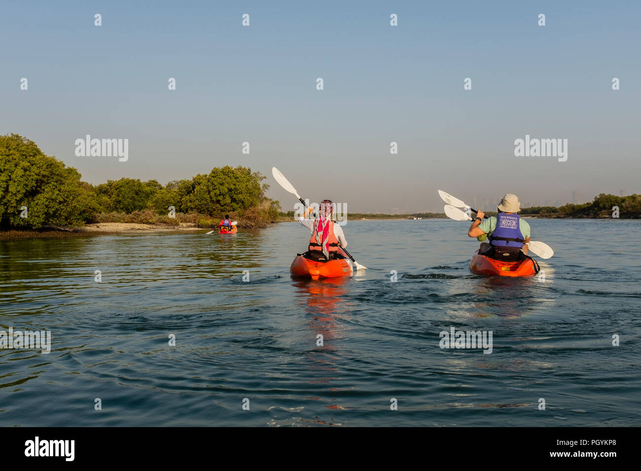 Kayaking in Mangrove National Park, Abu Dhabi, United Arab Emirates. The natural mangrove