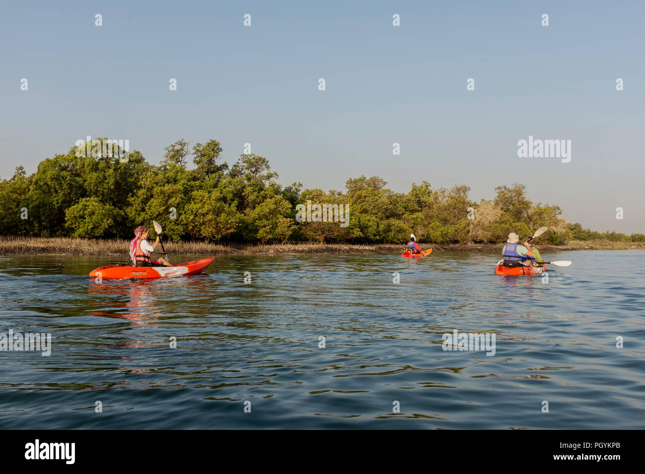Kayaking in Mangrove National Park, Abu Dhabi, United Arab Emirates. The natural mangrove