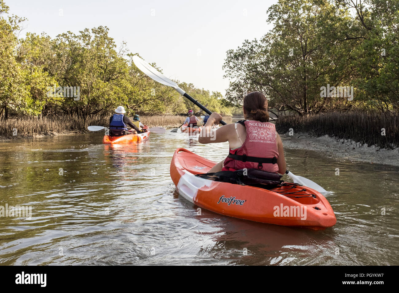Kayaking in Mangrove National Park, Abu Dhabi, United Arab Emirates. The natural mangrove