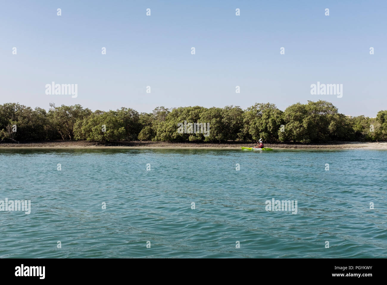 Kayaking in Mangrove National Park, Abu Dhabi, United Arab Emirates. The natural mangrove forests are a popular playground for outdoor activities. Stock Photo