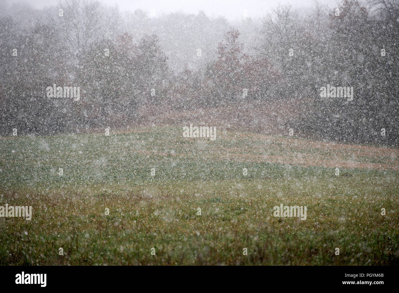 Lanscape, snowing Stock Photo