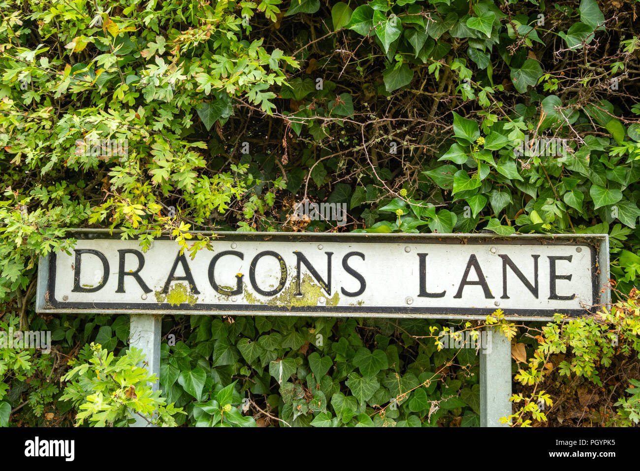 Dragons Lane street name UK Stock Photo