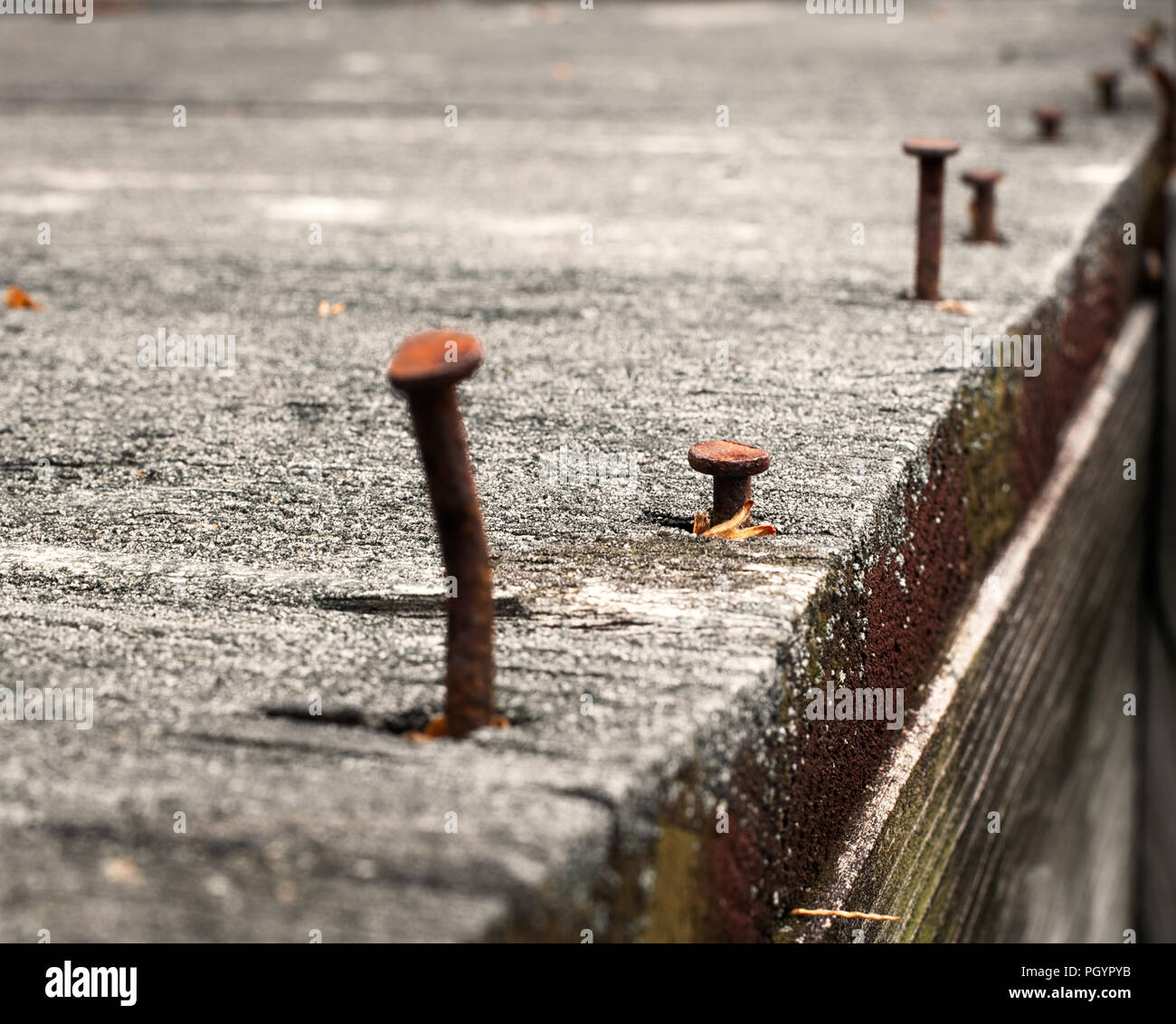 Rusty nails in an old wood board Stock Photo Alamy