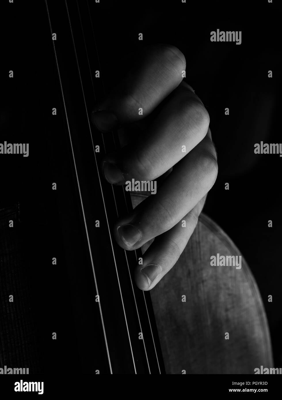 Cello Black and White Stock Photos & Images Alamy