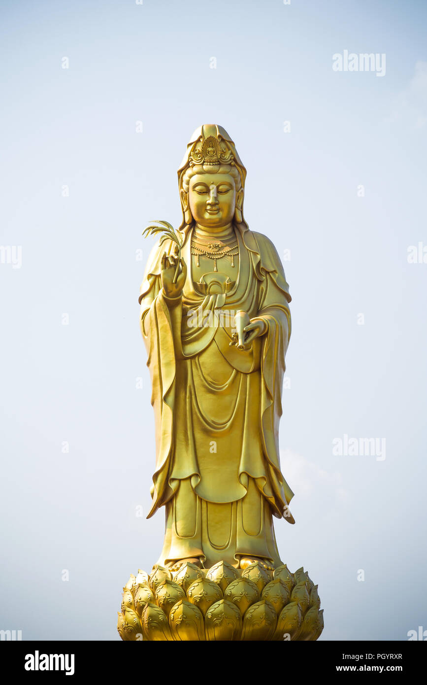 golden statue of the goddess of mercy  guanyin or guan yin standing on the lotus. buddhist and religion concept. Stock Photo
