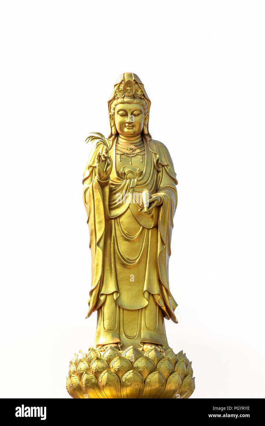 golden statue of the goddess of mercy  guanyin or guan yin standing on the lotus isolated on white background. buddhist and religion concept. Stock Photo