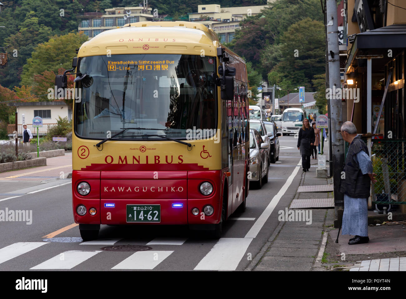 Kawaguchiko, Japan - September 8, 2019 : japanese old man and Kawaguchiko omnibus traveling bus are stopping at pedestrian crossing road. Stock Photo