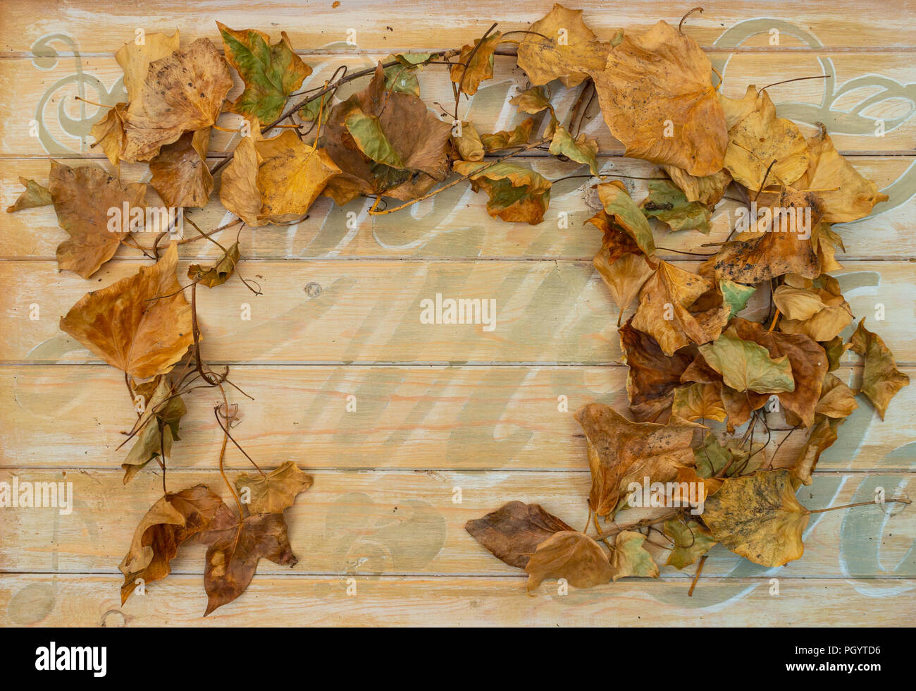 Autumn Leaf Border with space for copy Stock Photo