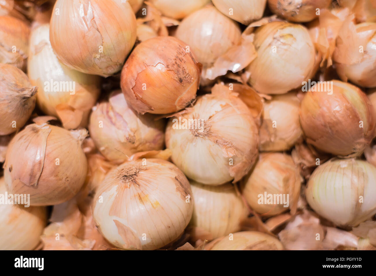 Fresh onions. Onions background. Ripe onions. Onions in market. Stock Photo