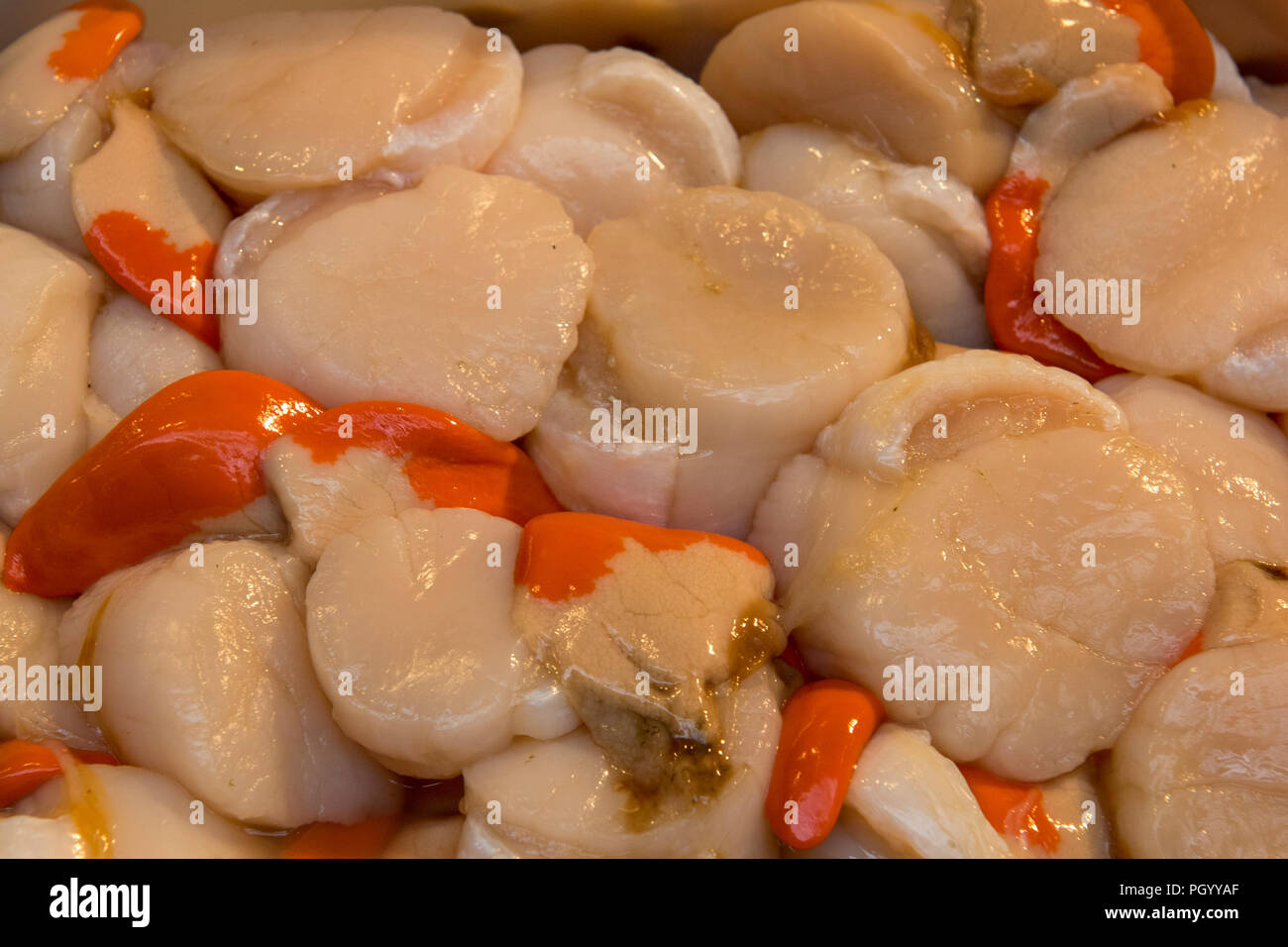 fresh scallops on sale on a fishmongers stall selling shellfish and