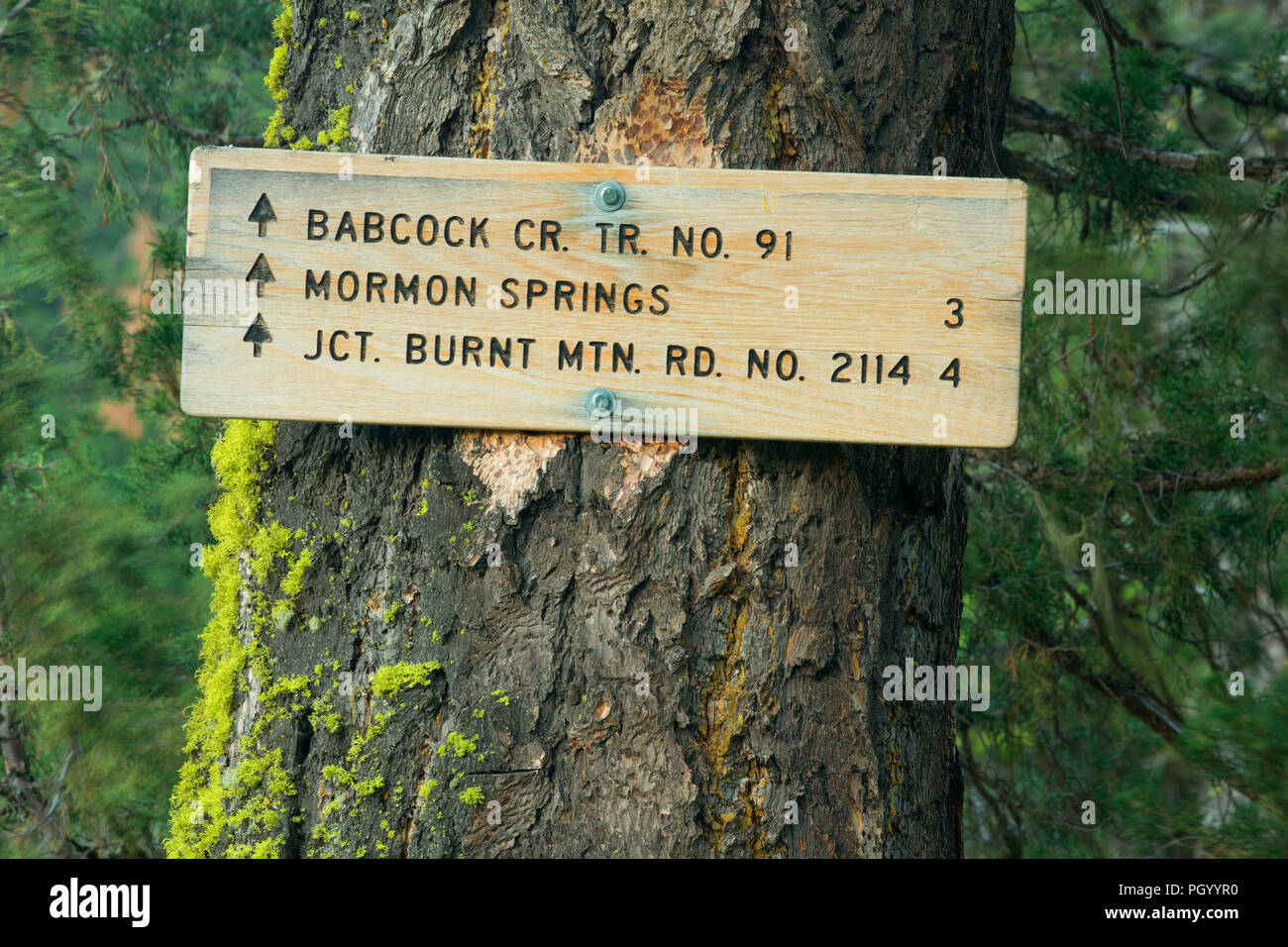 Hiking trail sign, Lolo National Forest, Montana Stock Photo Alamy