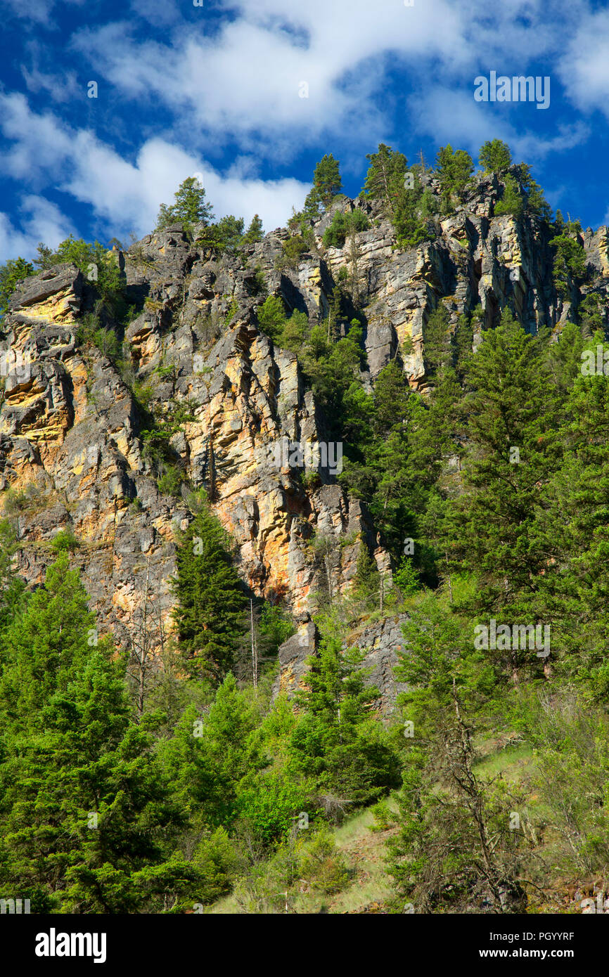 Canyon slope above Rock Creek, Lolo National Forest, Montana Stock