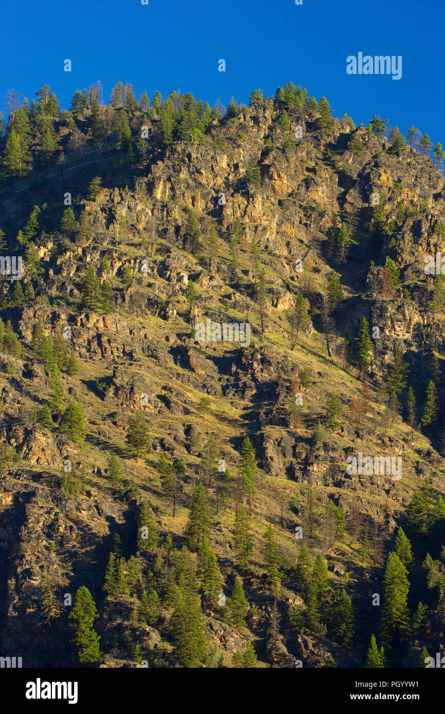 Rock Creek Canyon Slope Lolo National Forest Montana Stock Photo Alamy