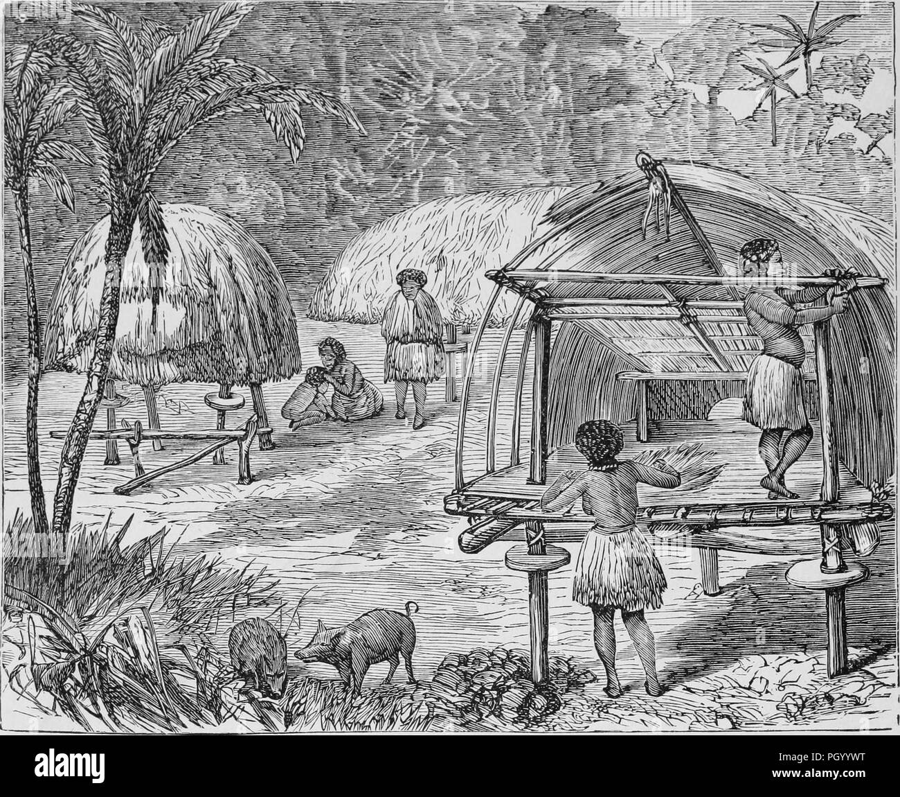 Black and white vintage print, depicting several New Guineans erecting a thatched roof building that is elevated on posts, with a small, thatched roundhouse in the background, published in John George Wood's volume 'The uncivilized races of men in all countries of the world, being a comprehensive account of their manners and customs, and of their physical, social, mental, moral and religious characteristics', 1877. Courtesy Internet Archive. () Stock Photo
