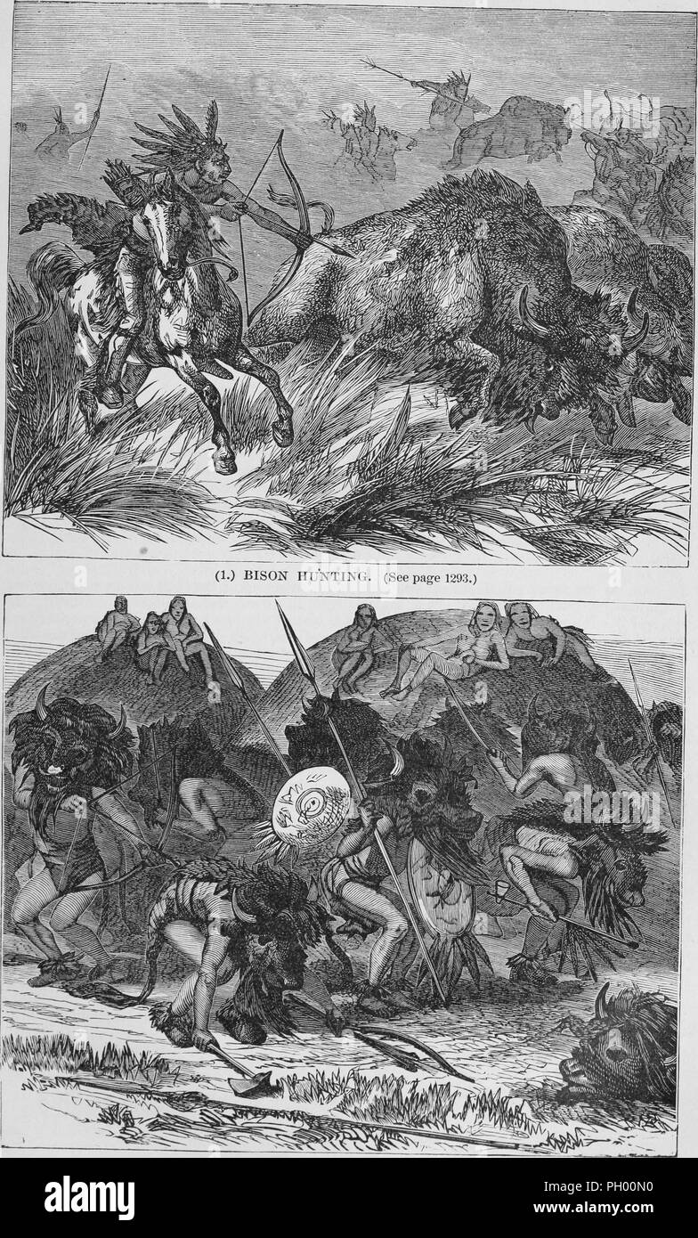 Black and white vintage prints, in two registers: captioned 'Bison Hunting' (top) depicting a First Nations man, wearing a feathered headdress and riding on a horse, aiming his arrow at the shoulder of a running bison; and a Buffalo Dance (lower register) in which Mandan hunters, wearing buffalo heads with long tails, and carrying their hunting tools, dance in a circle to invoke a bison hunt, located in North America, published in John George Wood's volume 'The uncivilized races of men in all countries of the world, being a comprehensive account of their manners and customs, and of their physi Stock Photo
