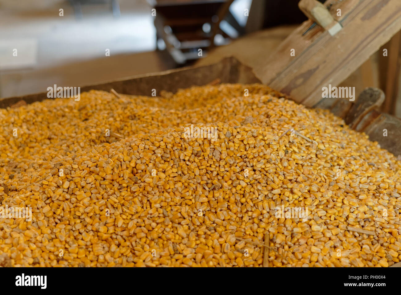 Grinding Maize Stock Photos & Grinding Maize Stock Images Alamy